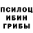 Псилоцибиновые грибы мухоморы sergibn