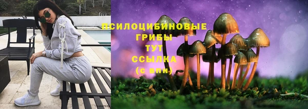 MESCALINE Аркадак