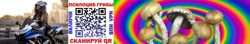 mega зеркало  наркошоп  Мамоново  Псилоцибиновые грибы мицелий 